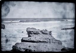 vignette