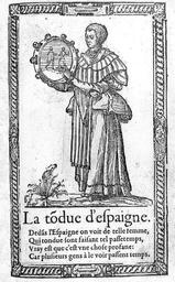 vignette