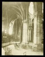 vignette