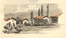 vignette