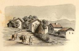 vignette