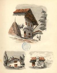 vignette