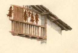 vignette