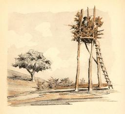 vignette
