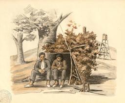 vignette