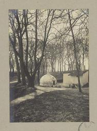vignette