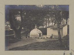 vignette