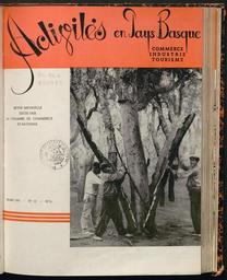 vignette
