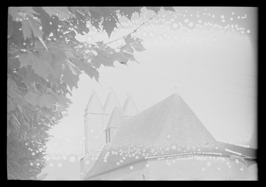 vignette