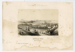vignette