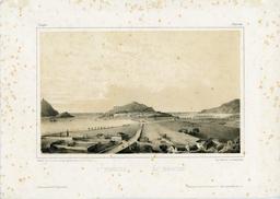 vignette