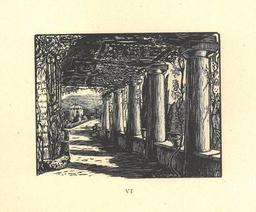 vignette
