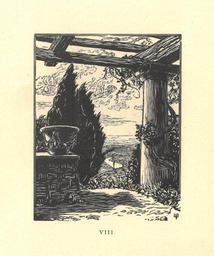 vignette