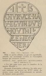 vignette