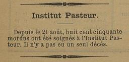 vignette