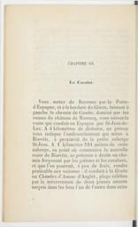 vignette