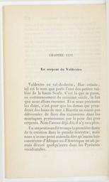 vignette