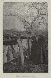 vignette
