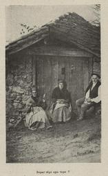 vignette