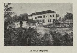 vignette