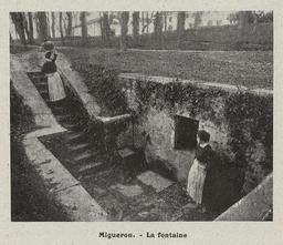 vignette