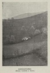 vignette