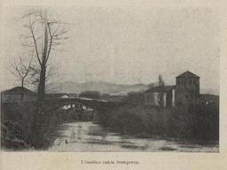 vignette