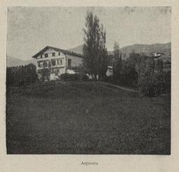 vignette