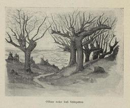 vignette