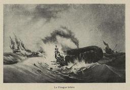 vignette