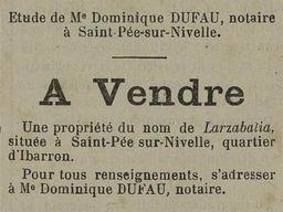 vignette