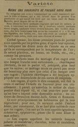 vignette
