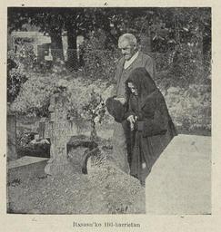 vignette