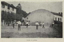 vignette