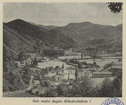 vignette