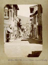 vignette