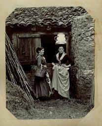 vignette