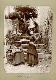 vignette