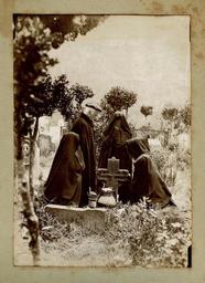 vignette