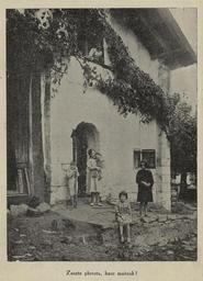 vignette