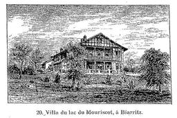 vignette