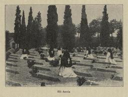 vignette