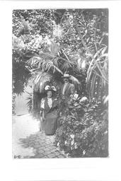 vignette