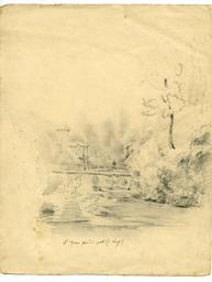 vignette