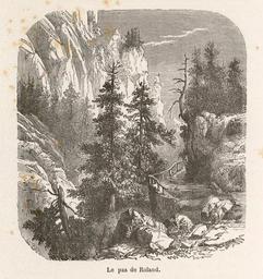 vignette