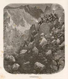 vignette