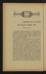 vignette