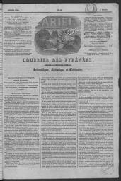 vignette