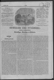 vignette