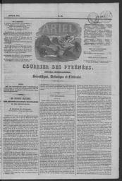 vignette